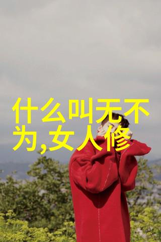 刚柔并济的智慧结合无为的方法解决问题