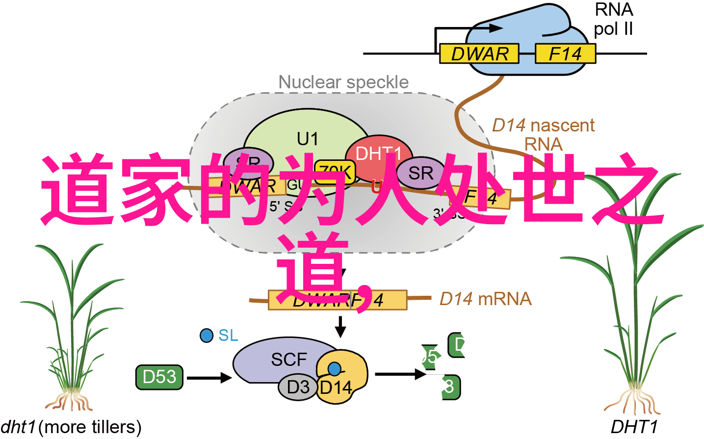 愿所求皆所愿世界各大宗教相通的宇宙观