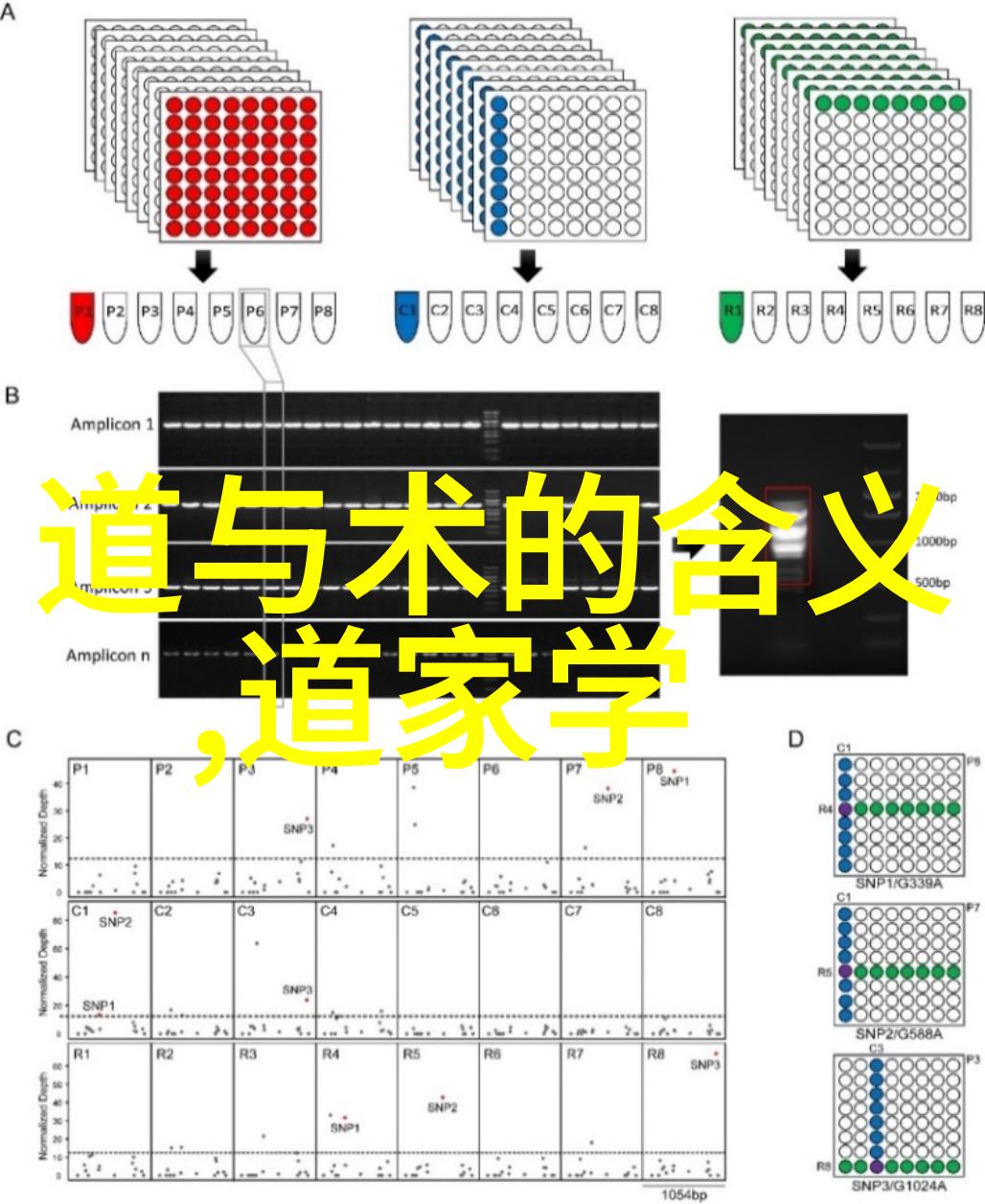 无不为之谜揭开时间的面纱