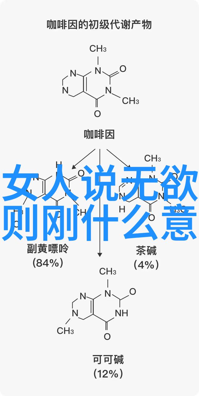 道教秘笈揭秘古老智慧的派别之争