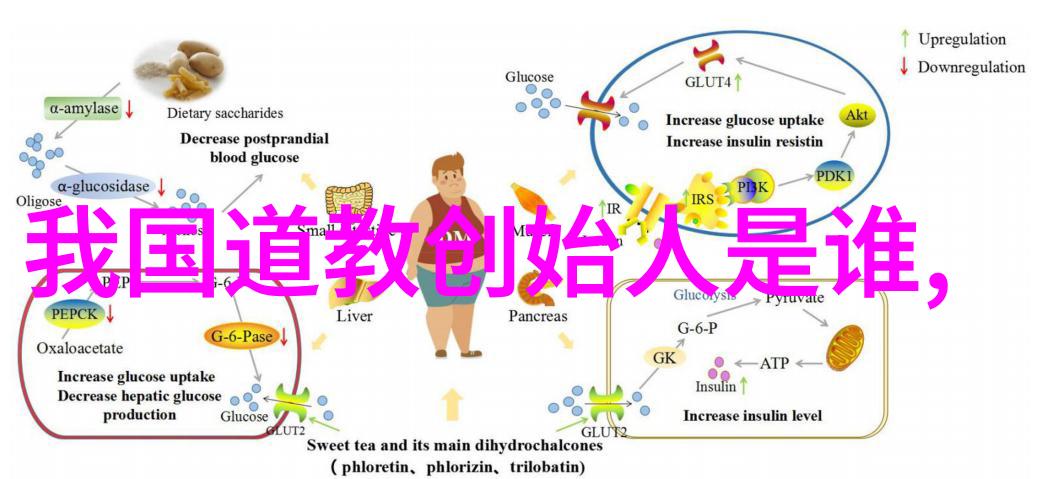 道家鼻祖探秘淳于髡与天人合一的智慧