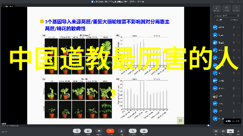 个人修养的哲学根基心性的内在化与外在化之争