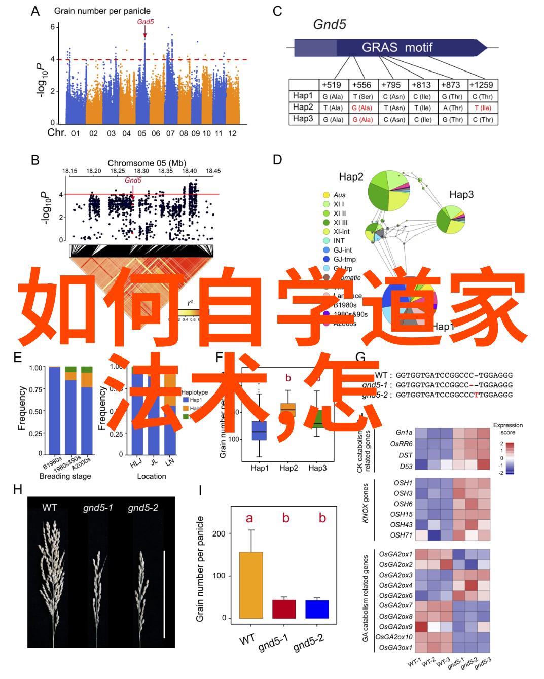 入戏扶他柠檬茶著-剧情深度柠檬茶与扶持的艺术