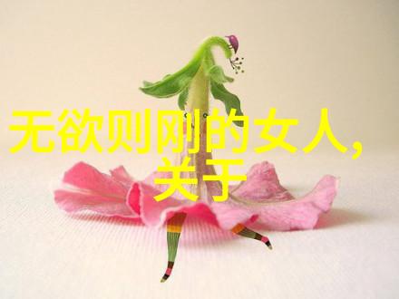 谁能称得上四大菩萨中最厉害悬壶显迹畅玄风