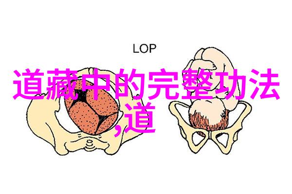 道德哲学探究性恶论对伦理学的影响有多大