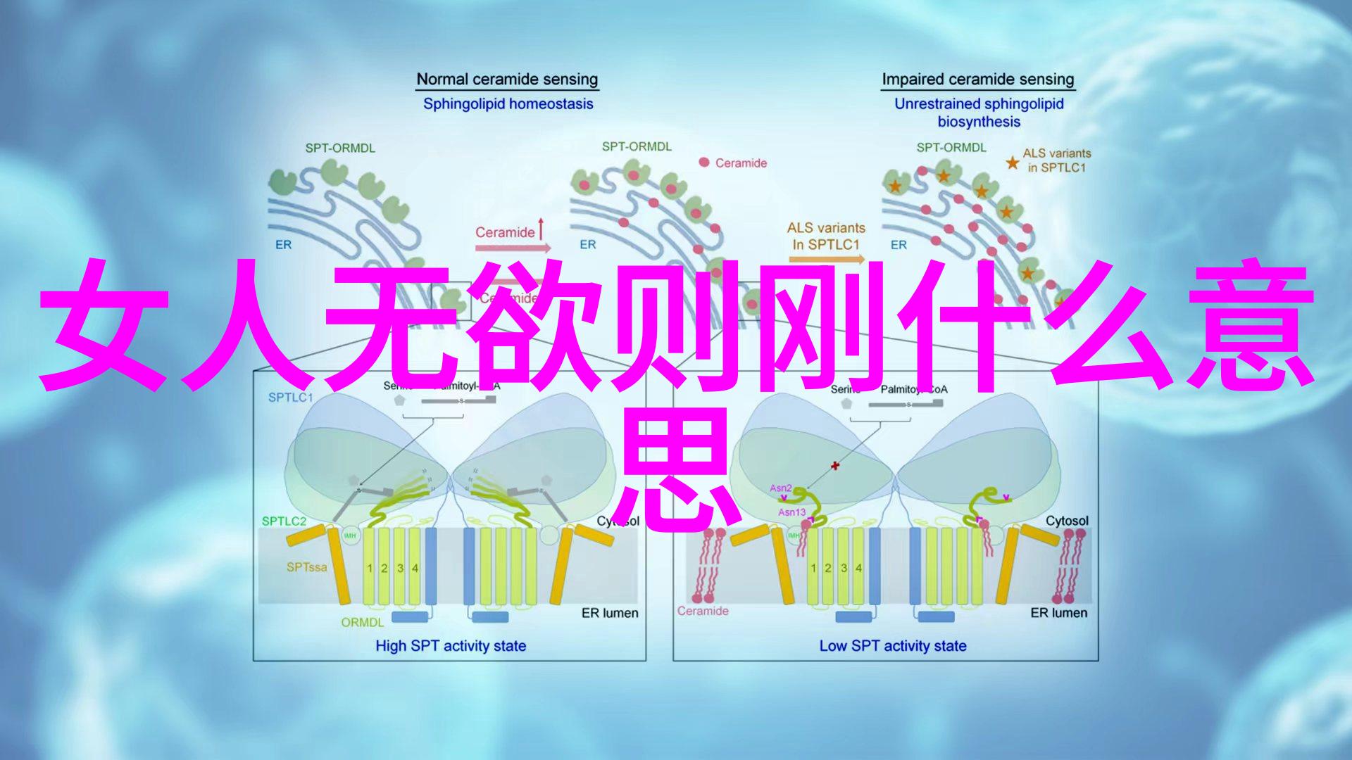 道家之光汉朝的智者与自然