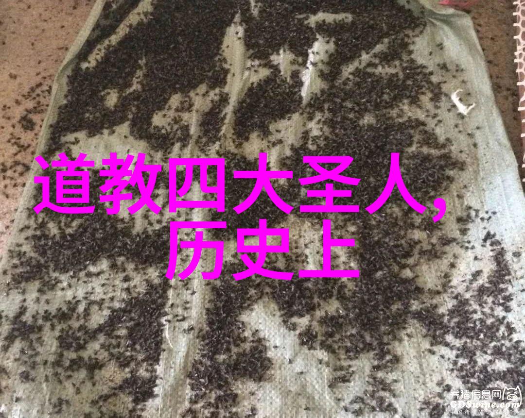 探索心之坚韧解读心无欲则刚的哲学深度