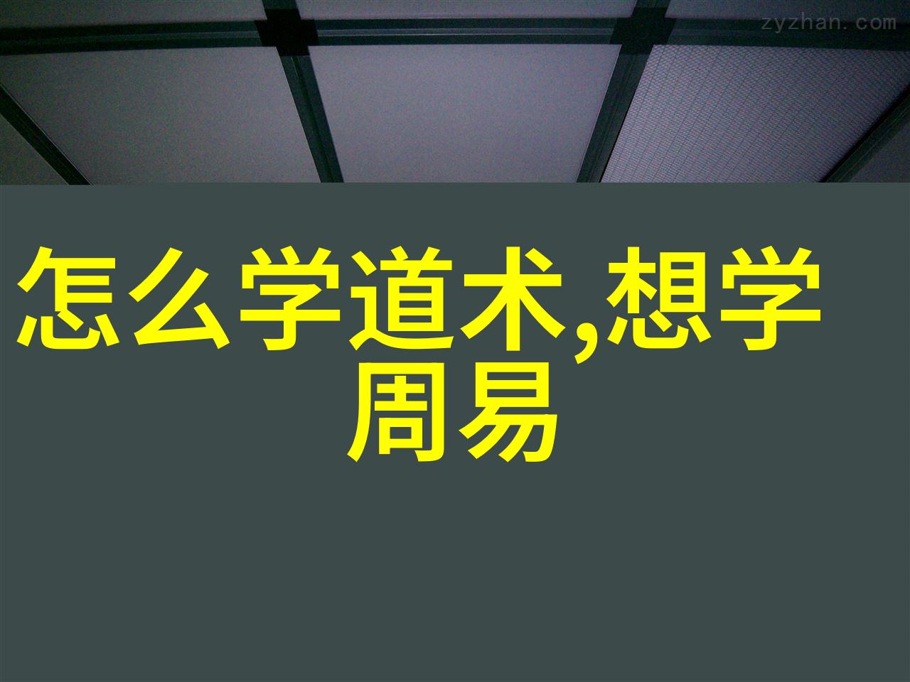 道家学者探究天人合一的哲学实践与自然观