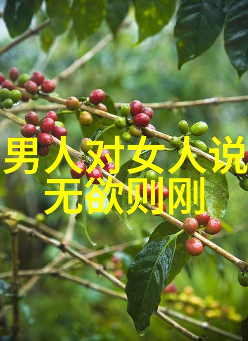 无为而治道家对管理的哲学探索