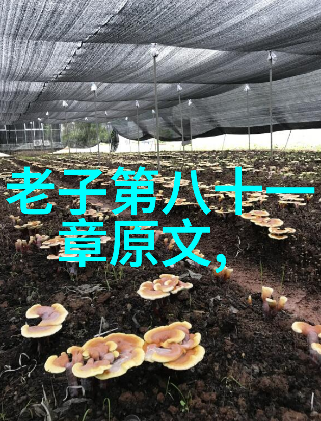 男儿之言无欲则刚的深度