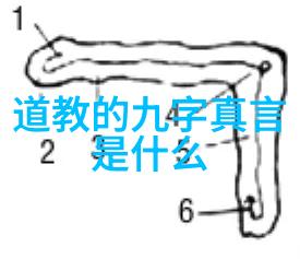 我来告诉你道家的经典之旅从庄子到老子探索那些让人心旷神怡的代表作