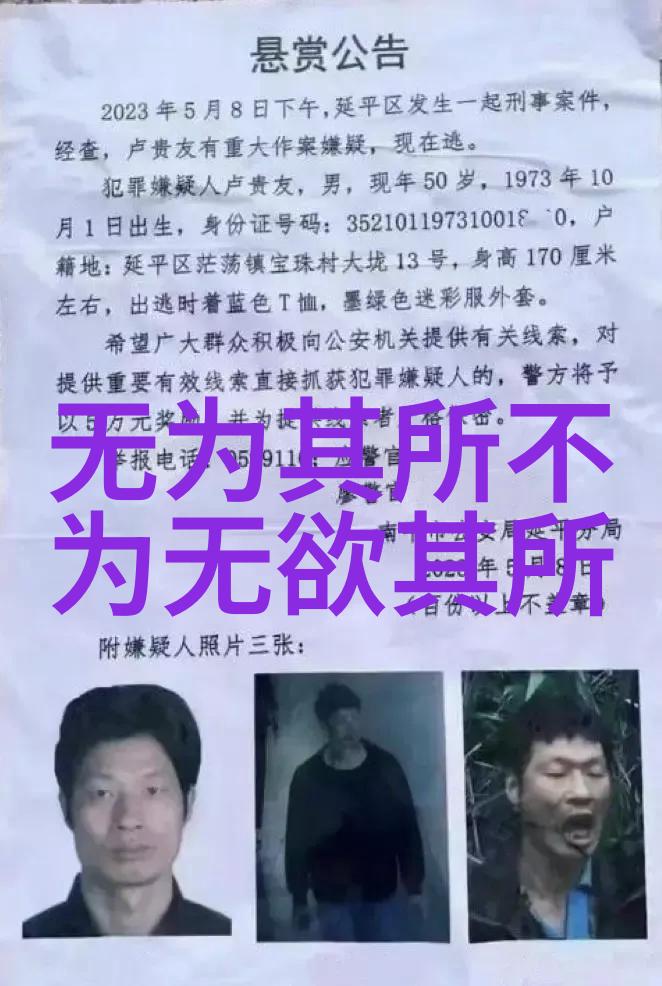 笔尖上的悟道书法如何塑造我的内在世界