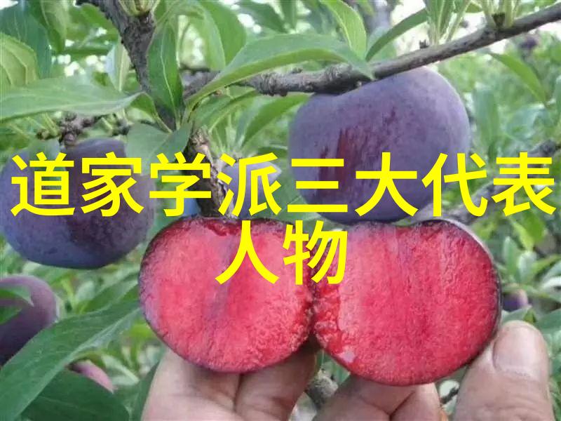 修炼九字真言心灵的精华之歌