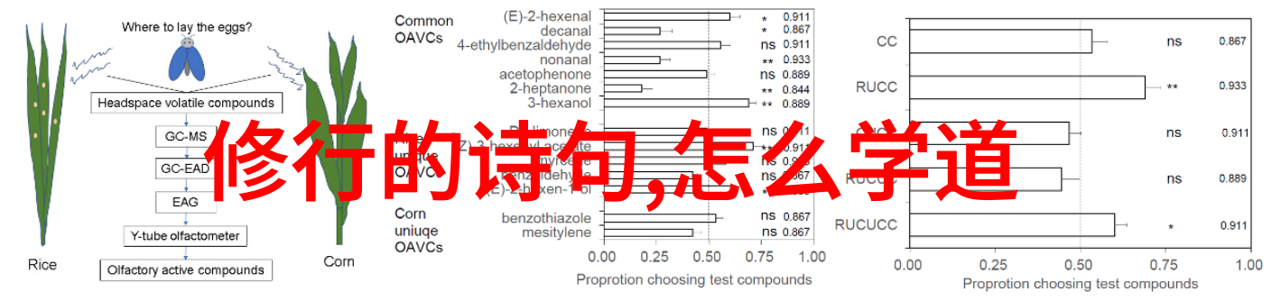 天地不仁以万物为刍狗这句话的深刻含义是什么