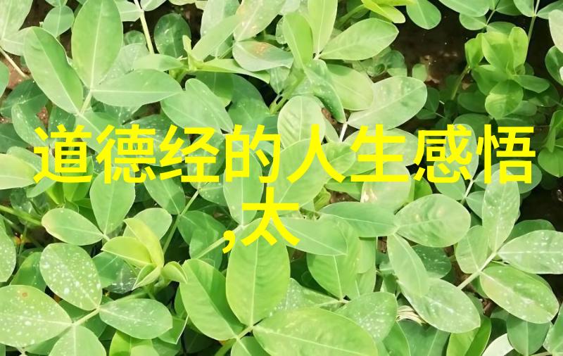 王重阳太极拳发明者景教创始人之一