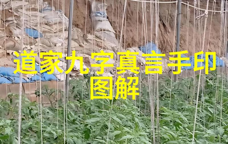 历史名人趣事录奇迹与传奇的交响篇