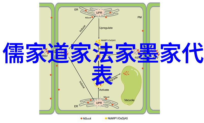 探索心境深处得道之境界的哲思