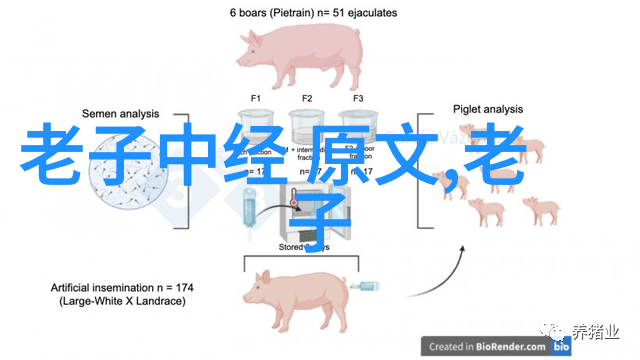 太上老君元道真经注解如何让无欲成为刚强的源泉