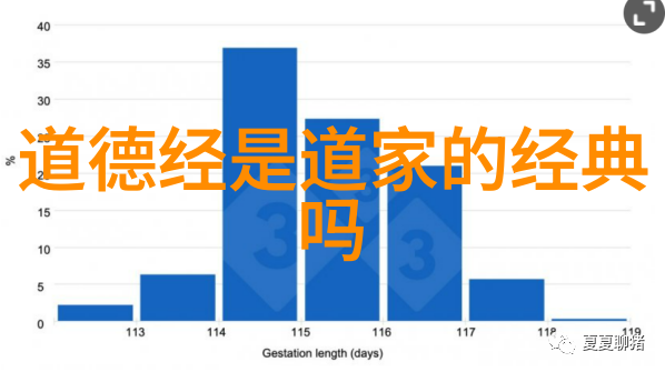 道教历代圣贤神秘的修炼者与天地之谜