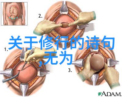 宋代道家的智慧传承者有哪些