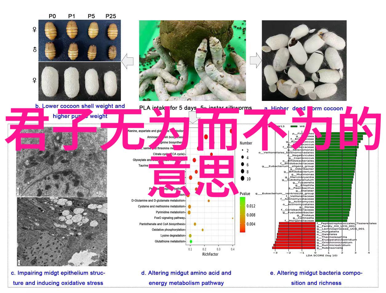 点评书法作品墨迹中的韵味与情感