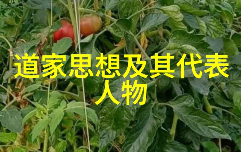 道家哲学中的无为无为则无所不为的智慧