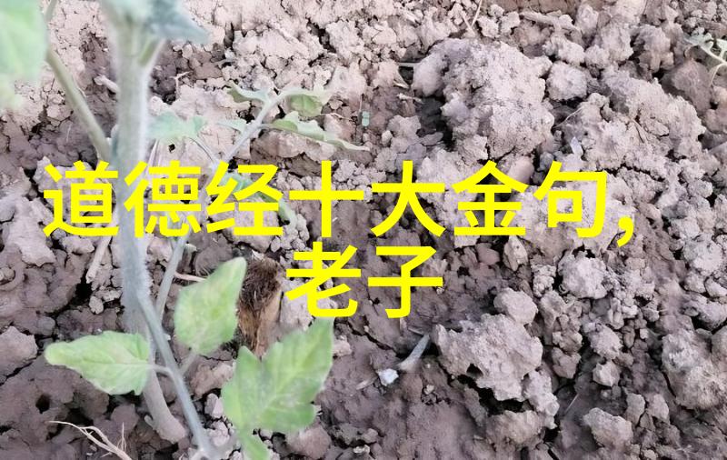 九字真言时间的回音与现实的裂痕