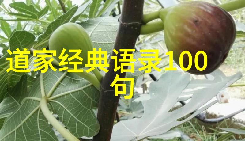 悟在天成对现代社会有何启示