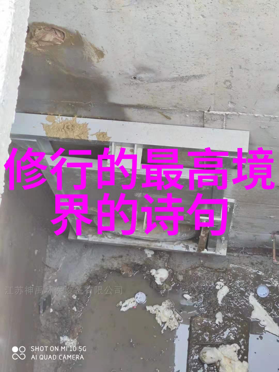 道德经打印版带拼音我是如何学会从老子学着做人的