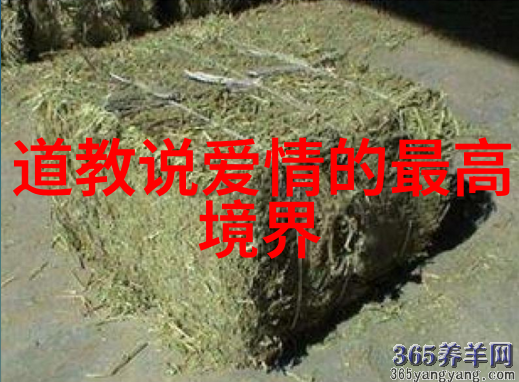 道教神秘谱诸仙同梦