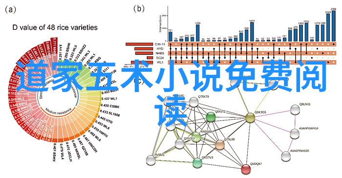 现当代道家厉害的人物 - 道脉未绝探索现代道家的精髓与实践