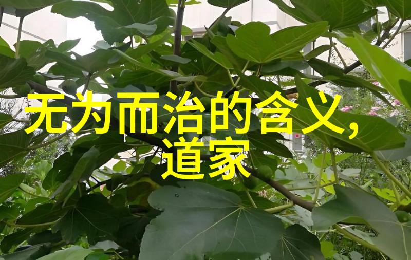 道家修行与心理健康理解并应对现代压力