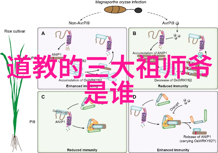 人与畜禽Croproation网站动物与人类的共生与创新