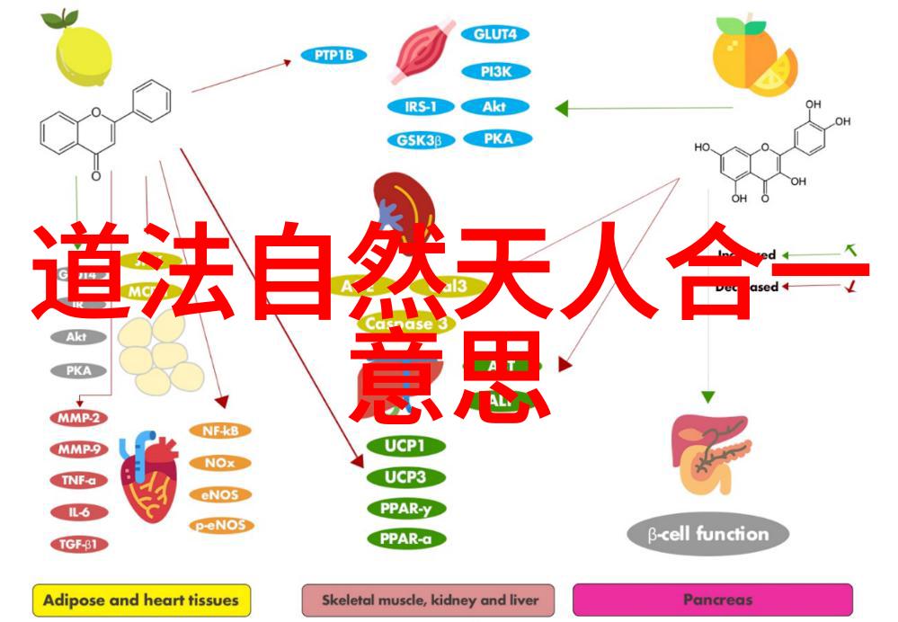 道德经的防邪之力古文明智慧的现代解读