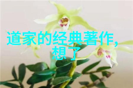 道德经经典100句-探索道德经的智慧解读古代哲学的精髓