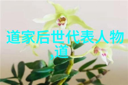 道教中天师的神秘面纱探寻其位高权重的秘密