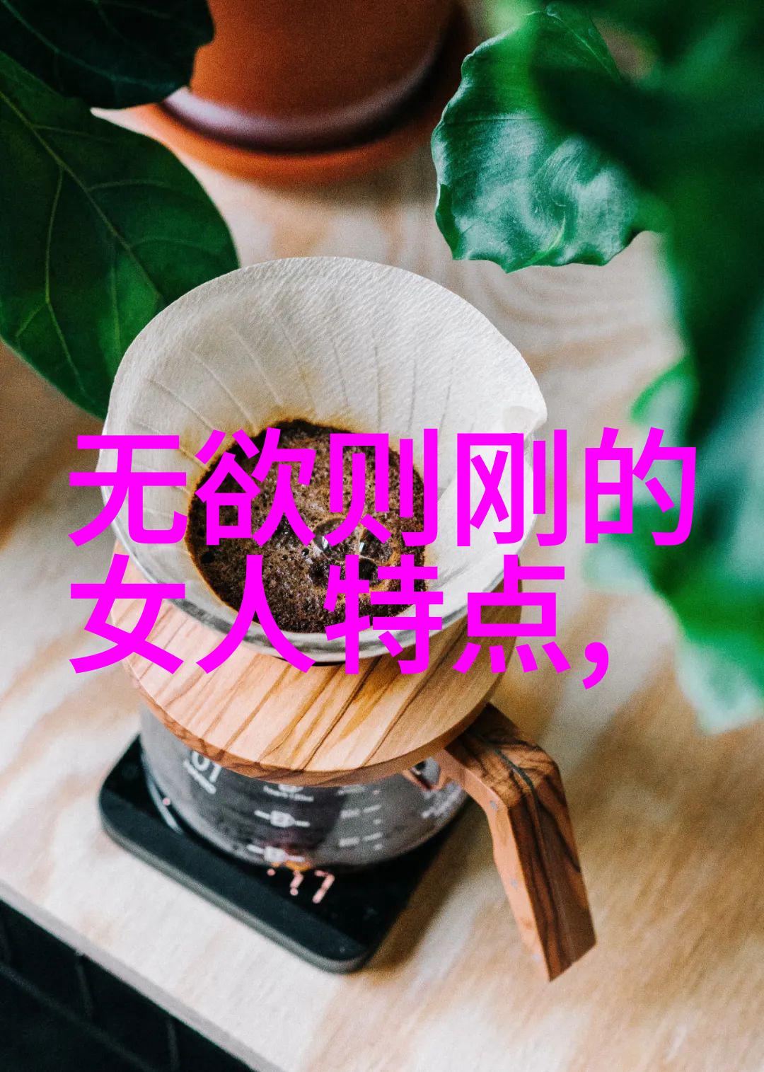 历史道教名人我与那些古老的道士探秘历史上的道教大师