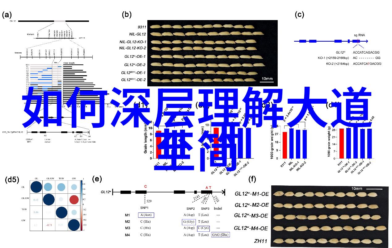 道家经典集老子学说老子思想的精髓