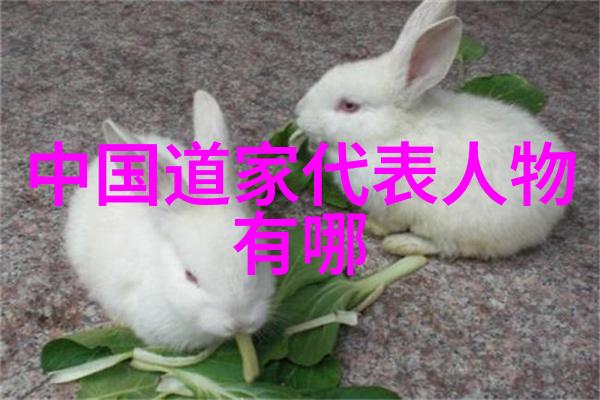 无不为存在的哲学探索