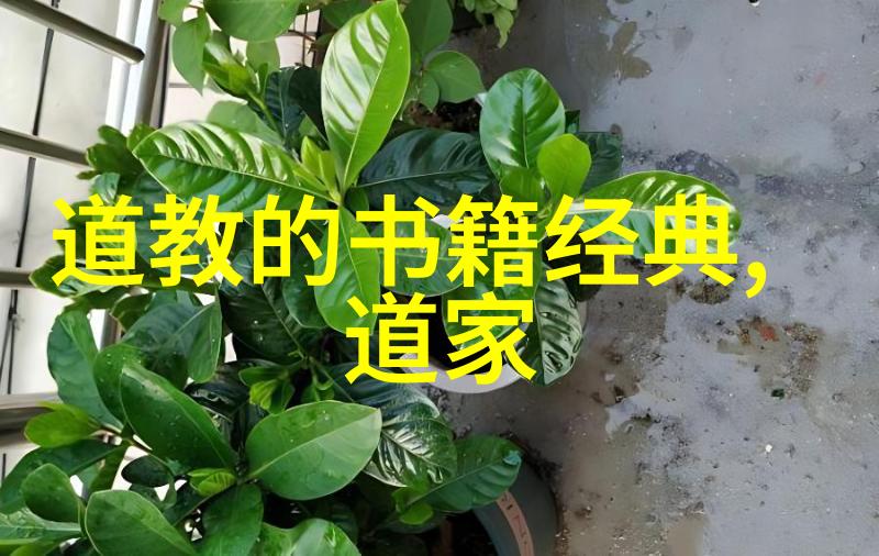 历史变迁下的文字选择無慾則剛與簡體繁體對比分析