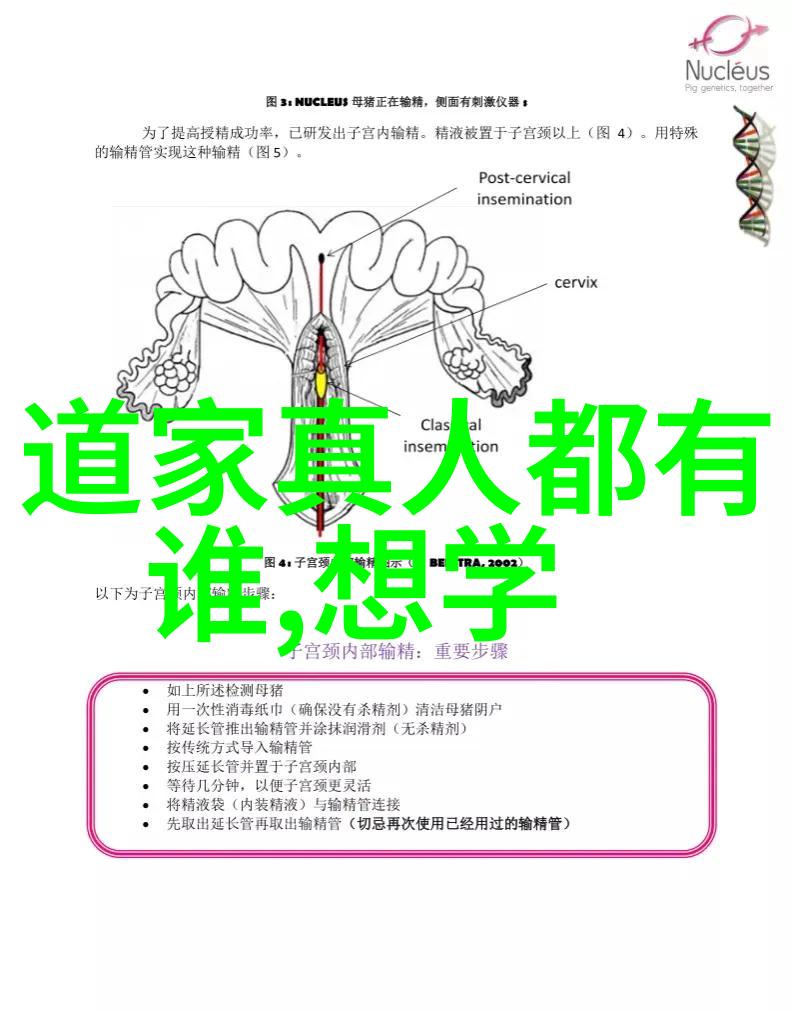 道家智者录探秘古代哲人的智慧之光