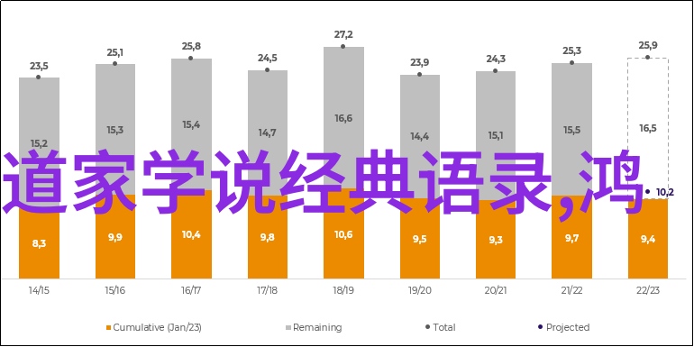 道教代表人张宗演天师之首