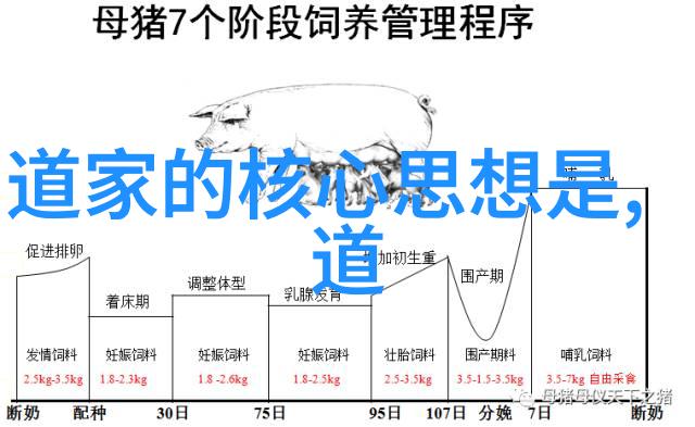 揭秘古典学问四书五经的奥秘与影响