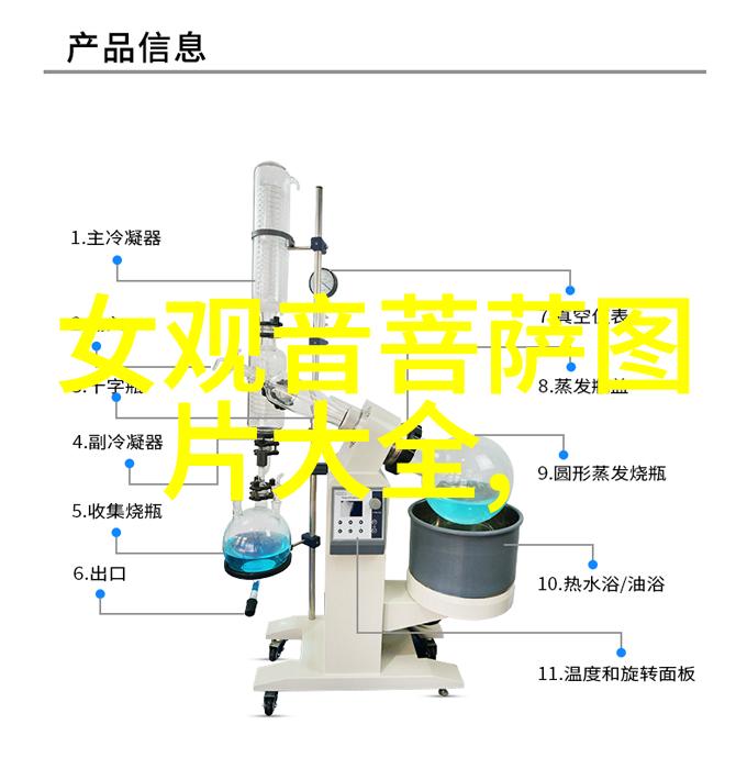 边城浪子边疆之恋的自由之徒