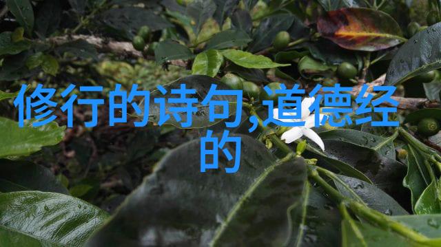 书写历史的一笔研究传统文化中的真正法术大师们