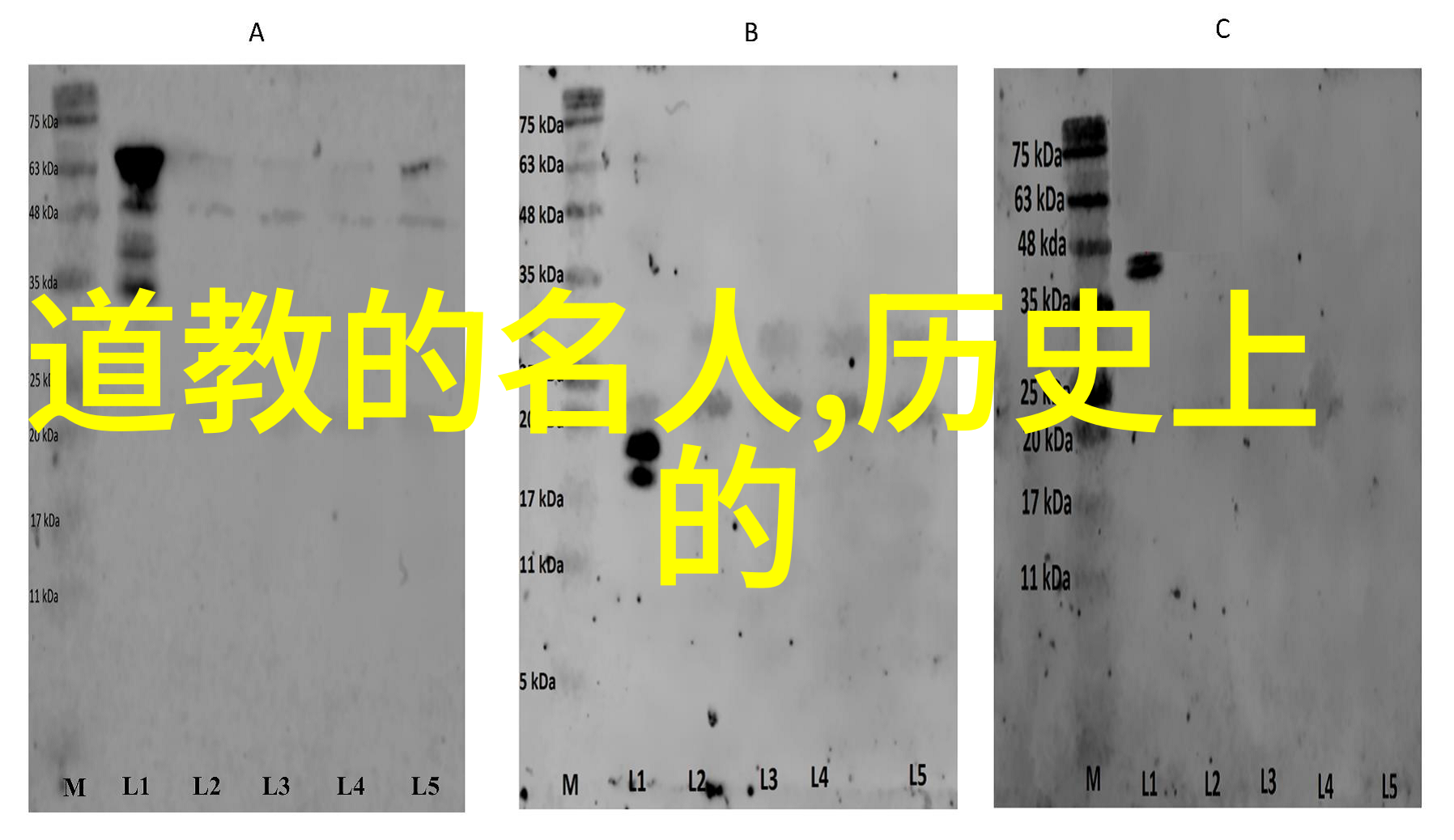 再用点力今晚随你弄我跟你说个秘密