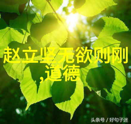 无欲不为方能真实自强现代人如何理解这句话