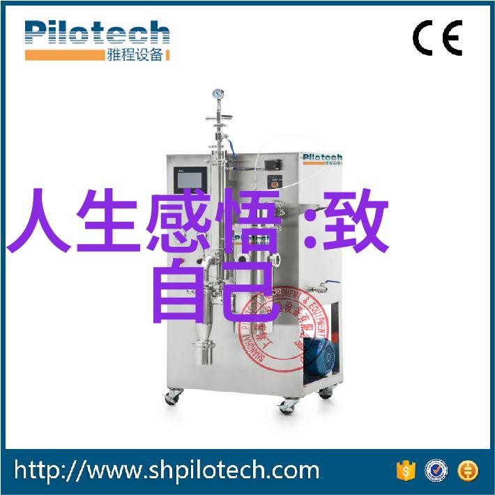 道家古籍中的智者之谜解读隐秘哲理的奥义