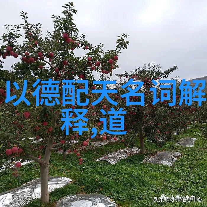 书法鉴赏课件揭秘古代字体的奥秘