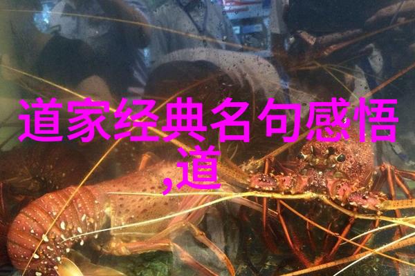 神仙眷属法力无边研究鸿钧老祖平级者的神通术数